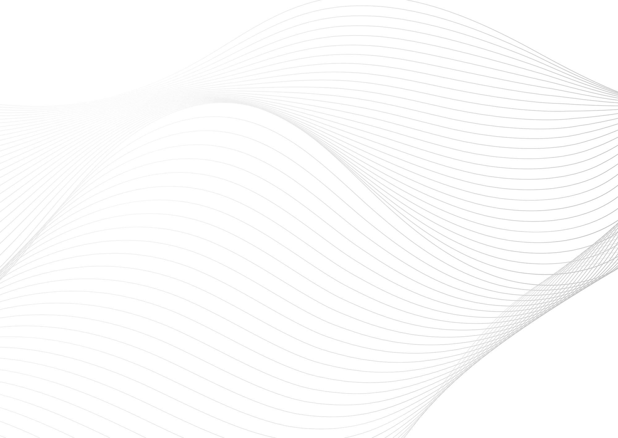 Web Site Tasarımcısı, Seyitgazi